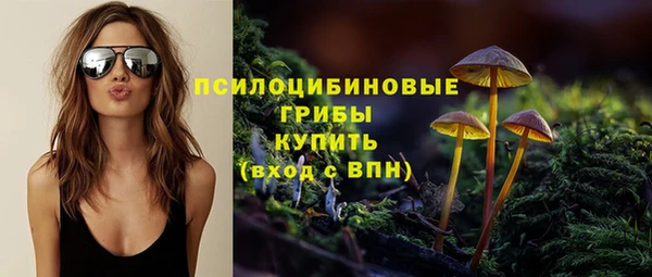 ALPHA-PVP Медвежьегорск