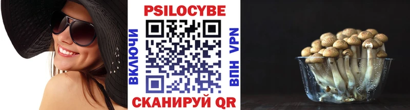 Галлюциногенные грибы мицелий  Серпухов 